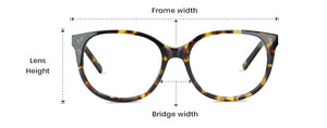 Round Cat Eye Women Sunglasses , Translucent Frame